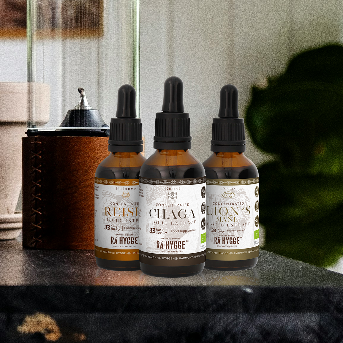 Nos élixirs associent la Crinière de Lion, le Reishi et le Chaga, soigneusement sélectionnés pour soutenir vos fonctions cognitives, renforcer votre immunité et stimuler votre vitalité Nos élixirs associent la Crinière de Lion, le Reishi et le Chaga, soigneusement sélectionnés pour soutenir vos fonctions cognitives,
